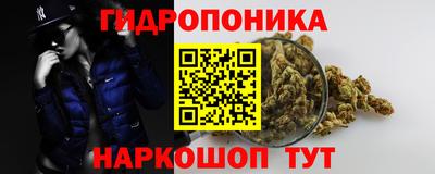 Альфа ПВП Обнинск