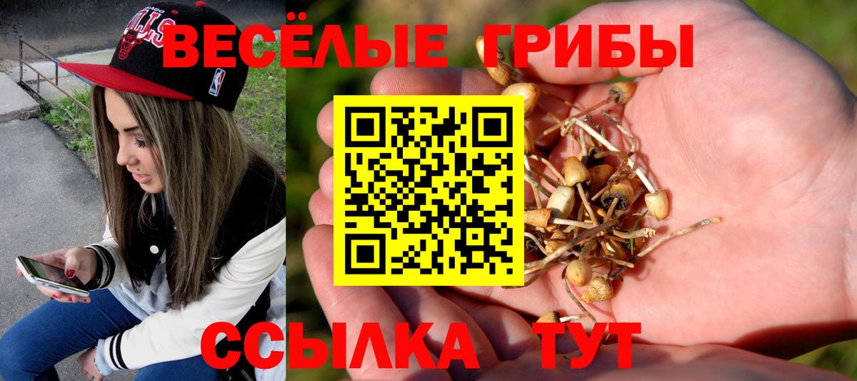 Славянск-на-Кубани  Галлюциногенные грибы Psilocybine cubensis  Вход с VPN 